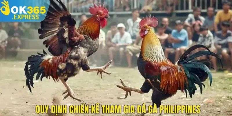 Quy định chiến kê tham gia đá gà Philippines