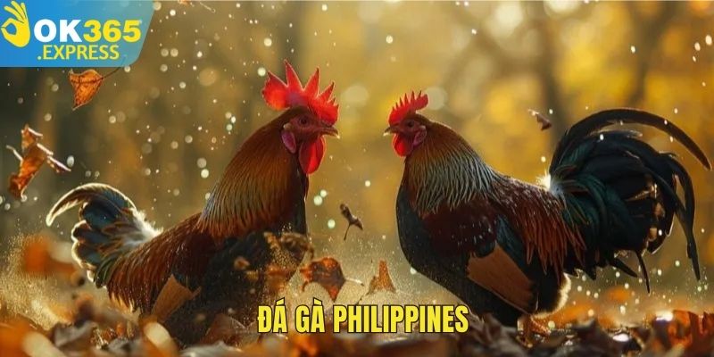 đá gà philippines